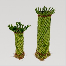 Feng Shui Lanttern Bamboo 风水笼 - 20cm / 30cm